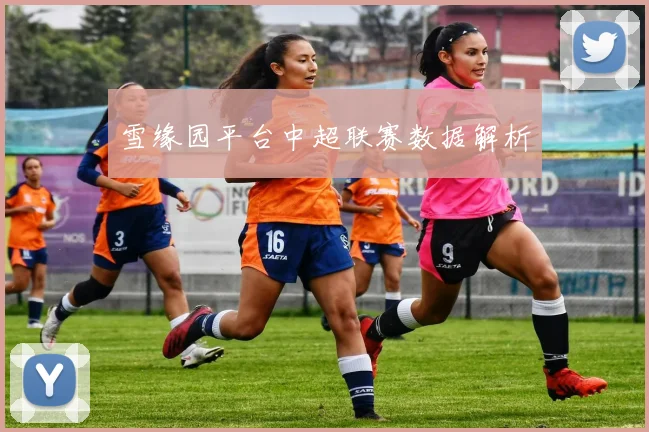 雪缘园平台中超联赛数据解析
